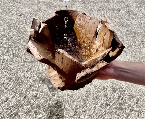 Un vaso per Mary | Muse - Museo delle Scienze di Trento