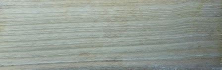 Image result for Sungkai Tree West Java