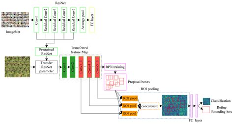 Sustainable Oil Palm Resource Assessment Based on an Enhanced Deep ...