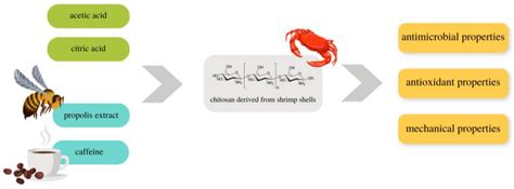 Characteristics of Chitosan Films with the Bioactive Substances ...