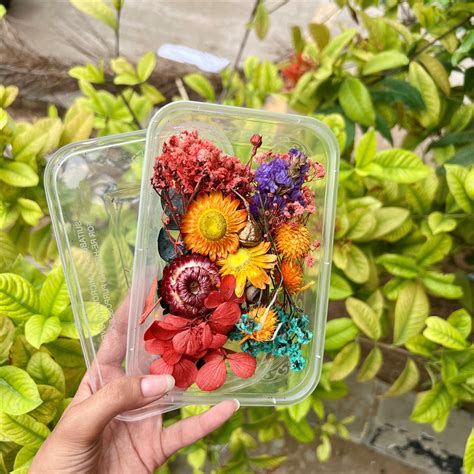 Sunburst Mix – Dried Flower Box – Epoxy Tales