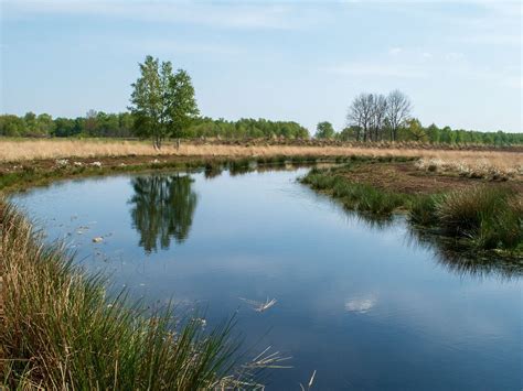 SILENT RIDE E-CHOPPER RENTAL DRENTHE (2026) All You Need to Know BEFORE ...