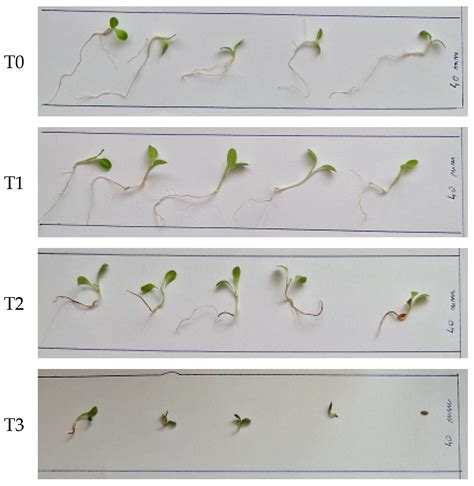 Preparation, Characterization, and Testing of Compost Tea Derived from ...