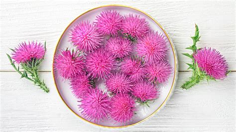 Milk thistle supports liver health in fatty liver disease, backed by ...