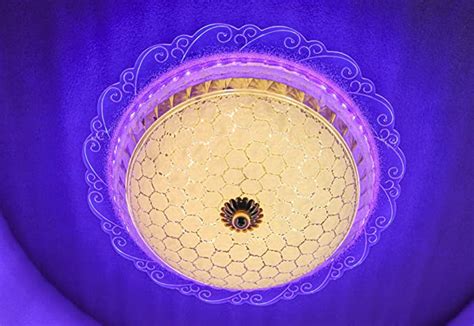 Buy swanart Modern LED Ceiling Light with Bluetooth Speaker, 3-Color ...