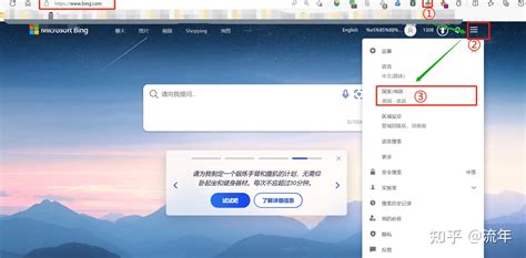 Bing 设置 的图像结果