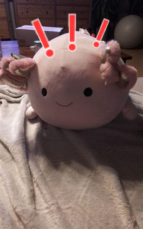 Neil Armstrong bedeutet rückwerz"gnorts mr alien" : r/Furdis