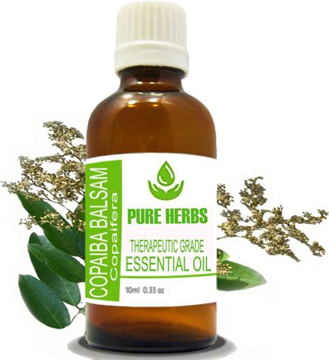 Buy Pure Herbs Copaiba Balsam (Copaifera) Pure & Natural Therapeutic ...