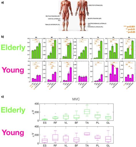 Image result for Muscle Activity EMG