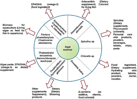 Elevating algal biomass generation toward sustainable utilization for ...