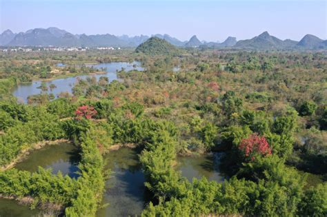Photos Chine : paysage des zones humides à Guilin — Chine Informations