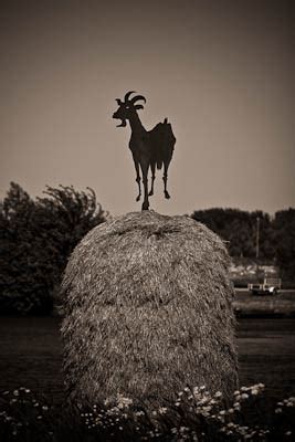 Chevrette - Open Time