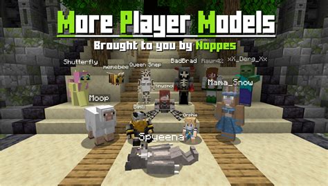 Image result for How to Install Minecraft More Player Models Mod Java 2021