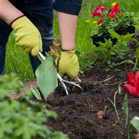 The Ultimate Guide to Gardening Tools – Ecofynd