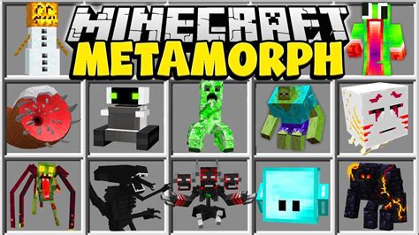Image result for Morph Evolution Mod Minecraft