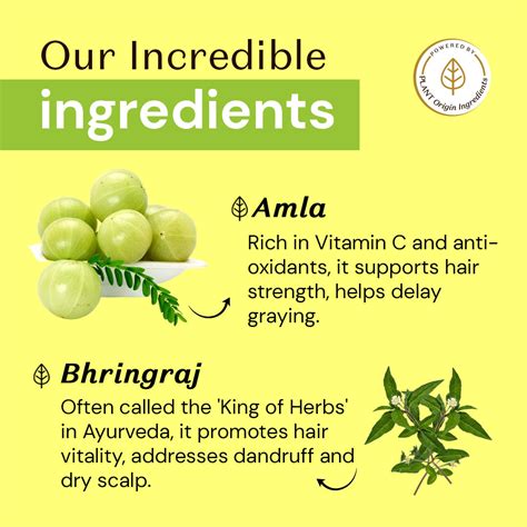 Amla & Bhringraj Shampoo for Hairfall & Dandruff – atulya