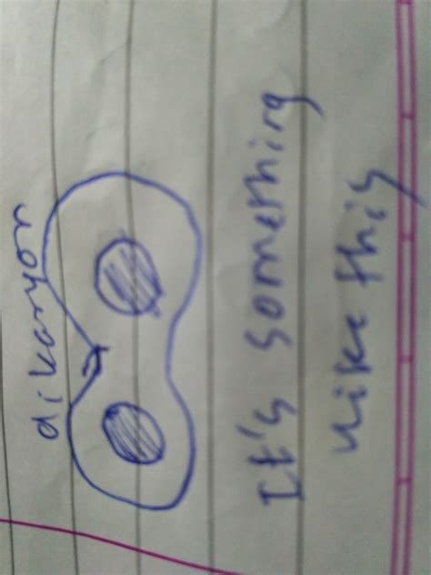 3. In both the Ascomycota and the Basidiomycota, karyogamy does not ...