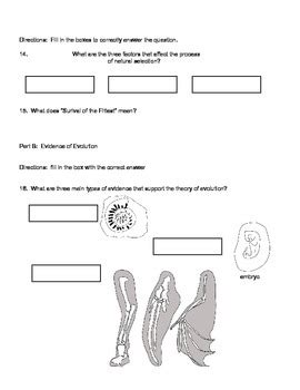 Evolution Level Class 7 的图像结果