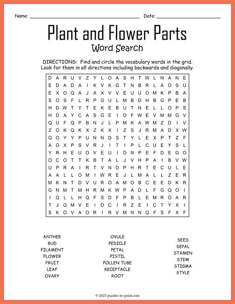 Plant and Flower Parts Word Search