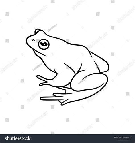 Frog Line Art Drawing Illustration Cute Stock Vector (Royalty Free) 2248995813 | Shutterstock