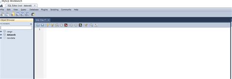 Loading a SQL Database in Workbench 的图像结果