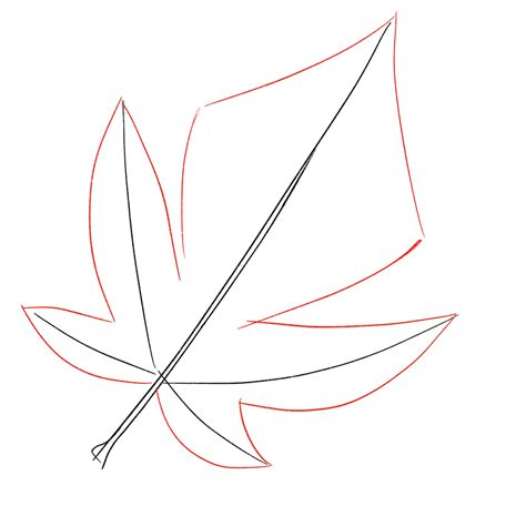 How to Draw Leaves: 3 Easy Fall Leaf Drawings