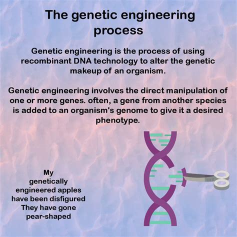 Genetic Engineering Process 的图像结果