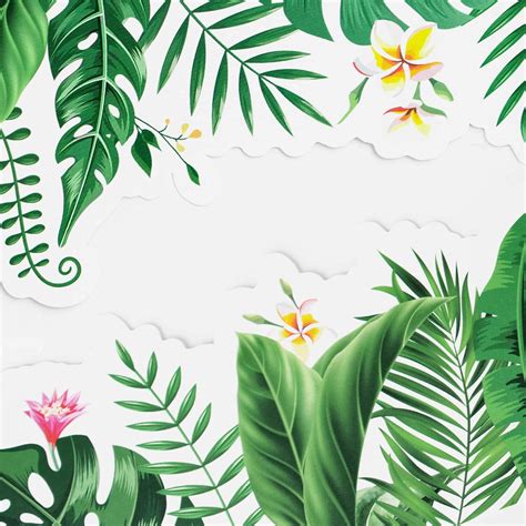 Awinker 59ft Eucalyptus Boho Board Border Trim Bulletin India | Ubuy