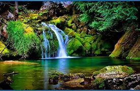Image result for Best Free Screensavers for Windows