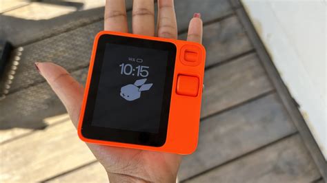 Image result for Rabbit First Use