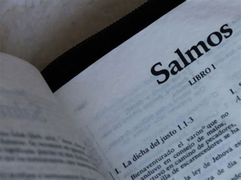 Resumen explicado del libro de los Salmos (estudio bíblico) - Biblia