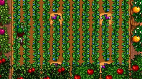 How to get Ancient Fruit in Stardew Valley