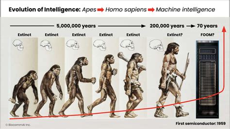 Image result for Humans Intelligence Evolution