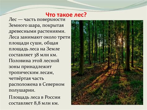 Значение лесов в жизни планеты - презентация онлайн