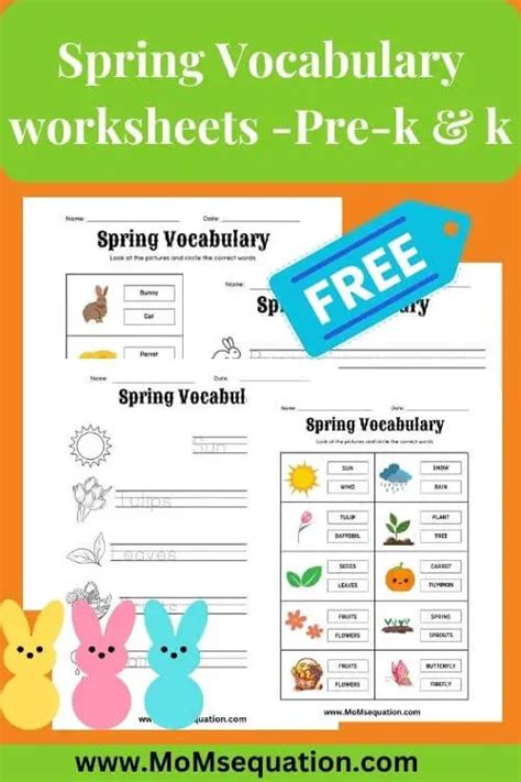 Image result for Spring Vocabulary Worksheet PDF