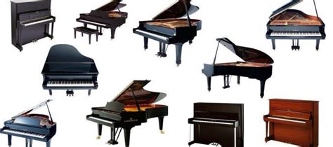 买一架新的钢琴，应该注意哪些点？_王焱钢琴艺术培训论坛 - Powered by Discuz!
