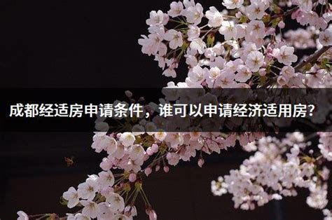 房屋生活常识：2020上海经适房申请条件有哪些_51房产网