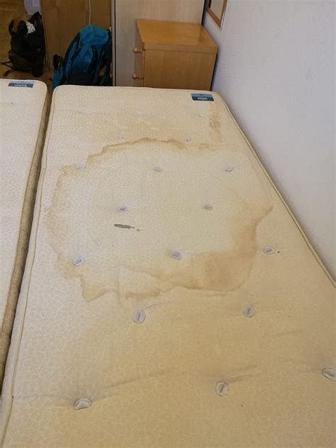 ACORN OF LONDON - Apartment Reviews & Photos - Tripadvisor