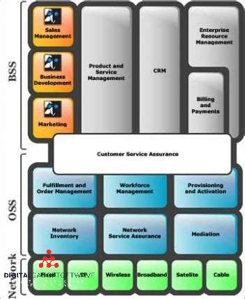 Image result for BSS Leveling Guide