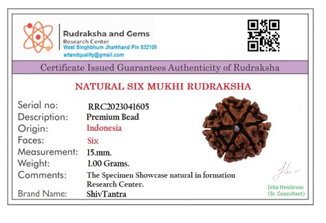Buy ShivTantra Six Mukhi Pure Rudraksha bead,Certified, Original Six ...