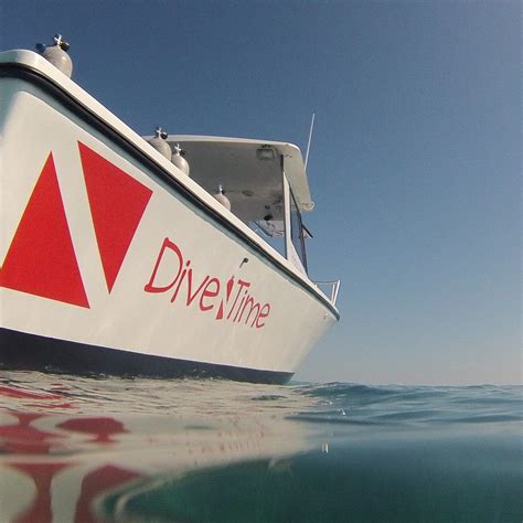 DIVETIME ABACO (2026) All You Need to Know BEFORE You Go (with Photos ...