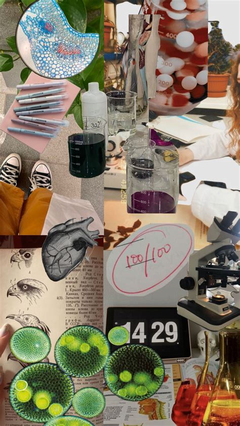 Biotechnology Aesthetic Pictures 的图像结果