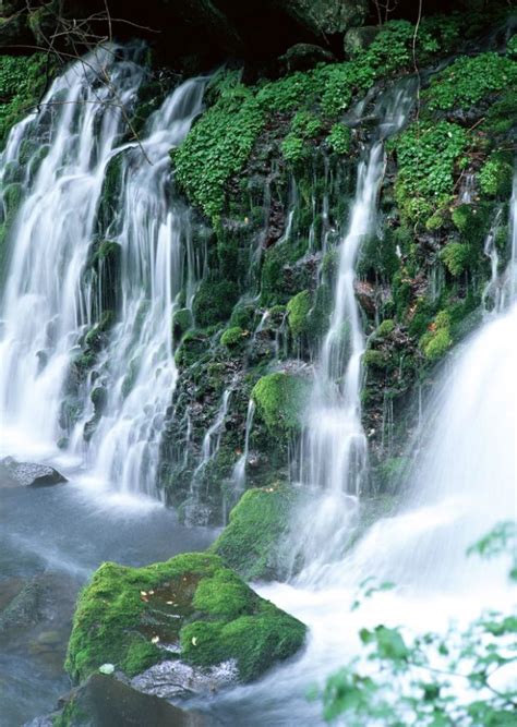 高山流水0033-自然风景图-自然风景图库-白色 树木 绿色-图行天下素材网