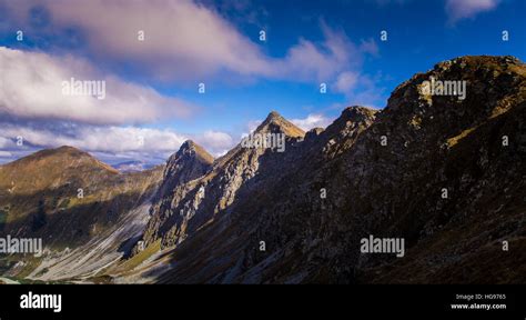 Image result for Timber Line