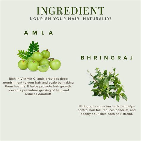Khadi Natural Amla & Bhringraj Hair Cleanser Combo Pack of 2 - 210ml E