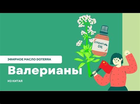 Эфирное масло Валерианы doTERRA (Дотерра) - свойства, для чего ...