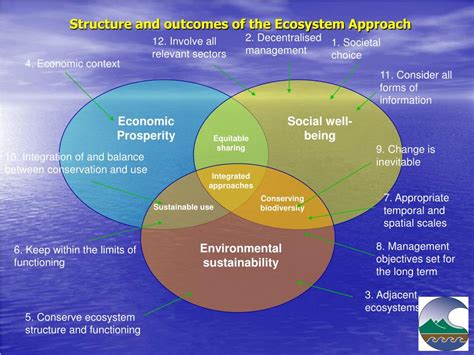 Image result for Ecosystem Approach