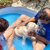 Buy Intex Snap Set Paddling Water Pool For Kids (5ft) Online at Low ...