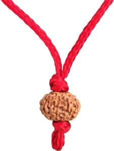 Senroar 10 Mukhi Rudraksha Pendant (Indonesia) Wood Pendant Price in ...