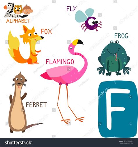 Cute Animal Zoo Alphabet Letter F 스톡 벡터(로열티 프리) 451666345 | Shutterstock